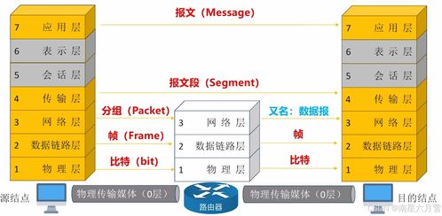王道考研筆記整理 計算機網絡體系結構與信息管理服務