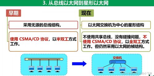 計算機網絡基礎 數據鏈路層在信息管理與服務中的關鍵角色